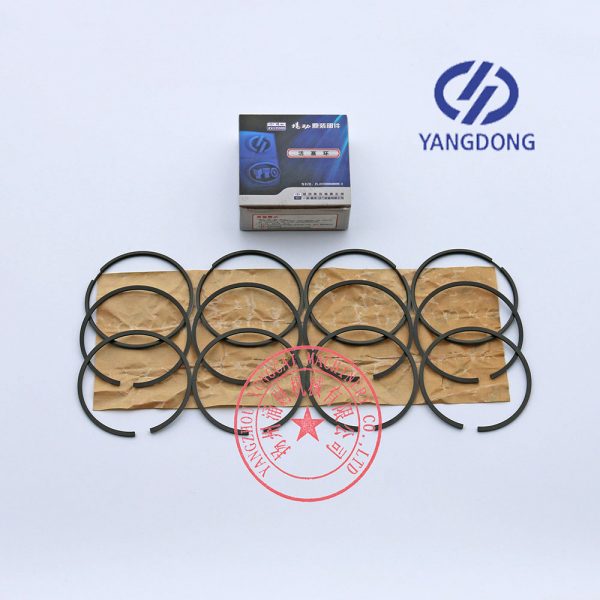Yangdong Y4102D engine piston rings -3