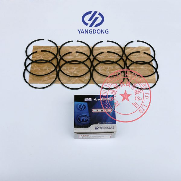 Yangdong Y4102D engine piston rings -4