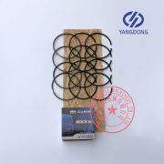 Yangdong Y4102D engine piston rings -6