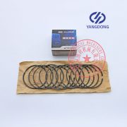 Yangdong Y4102D engine piston rings -8