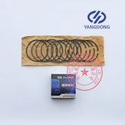 Yangdong Y4102D engine piston rings -9