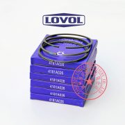 1006TAG13 Lovol piston rings T4181A026