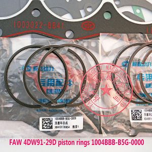 FAW 4DW91-29D piston rings 1004BBB-B5G-0000