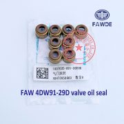 FAW 4DW91-29D valve oil seal -3