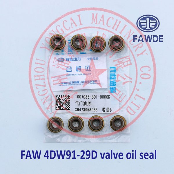 FAW 4DW91-29D valve oil seal -5