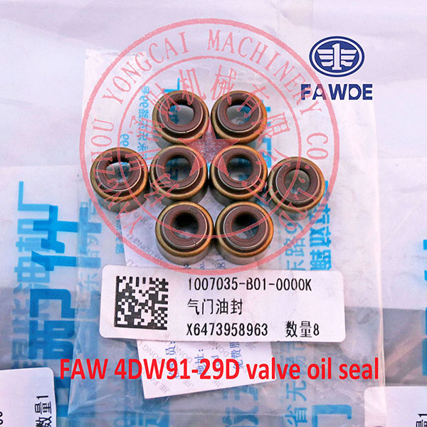 FAW 4DW91-29D valve oil seal -6