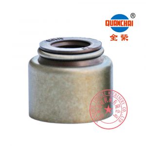 Quanchai QC480Q valve oil seals
