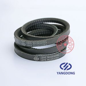 YD480ZLD Yangdong engine belt