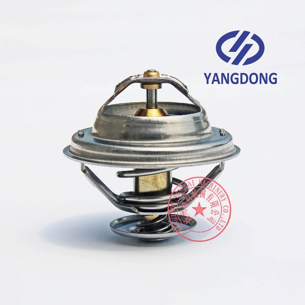 Yangdong Y4100D thermostat -2