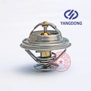 Yangdong Y4100D thermostat -3
