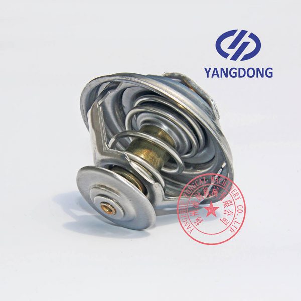 Yangdong Y4100D thermostat -4