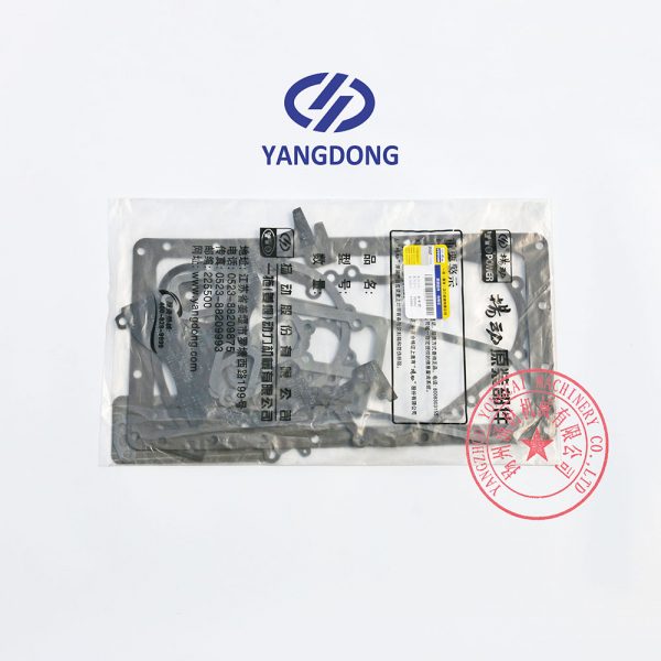 Yangdong YD480ZLD overhaul gasket kit -3