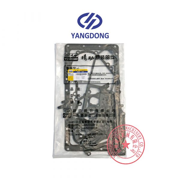 Yangdong YD480ZLD overhaul gasket kit -6