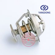 Yangdong YD480ZLD thermostat -3