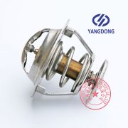 Yangdong YD480ZLD thermostat -4