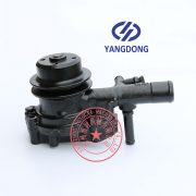 Yangdong YD480ZLD water pump -1