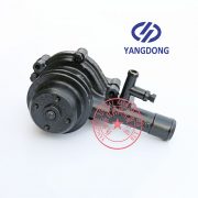 Yangdong YD480ZLD water pump -6