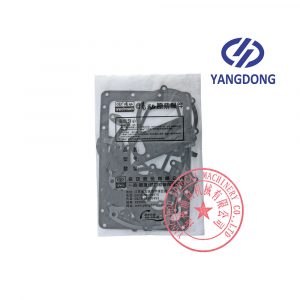 Yangdong YSAD380 overhaul gasket kit