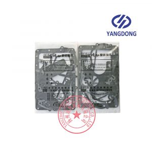 Yangdong YSAD380 overhaul gasket kit