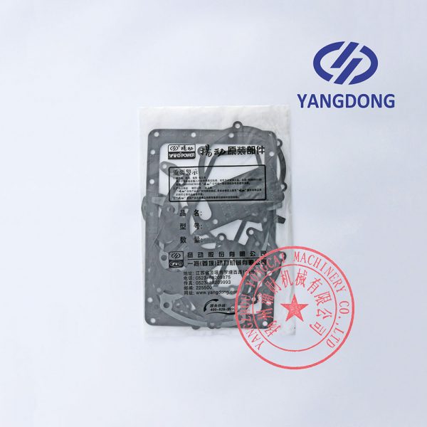 Yangdong YSAD380 overhaul gasket kit -6