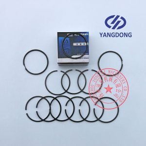 Yangdong YSAD380 piston rings