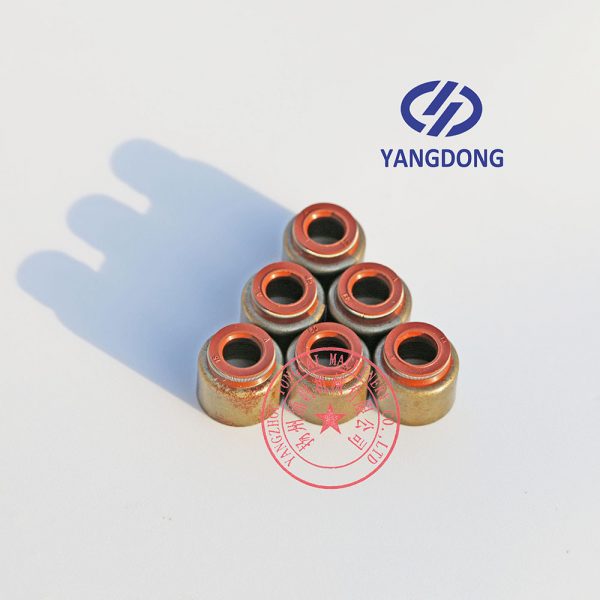 Yangdong YSAD380 valve oil seal -4