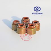 Yangdong YSAD380 valve oil seal -5