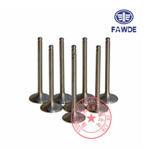 FAW 4DW81-23D engine intake valve