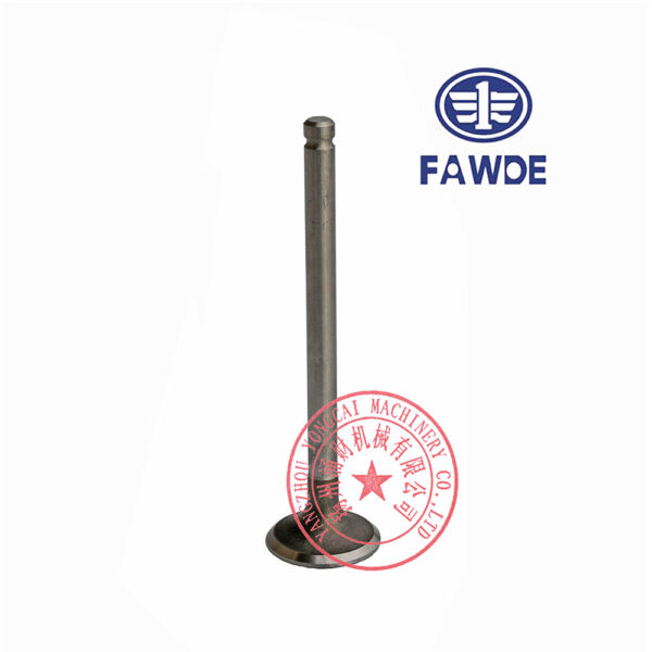 FAW 4DW81-23D exhaust valve