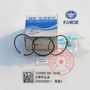 FAW 4DW81-23D piston rings -1