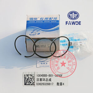 FAW 4DW81-23D piston rings