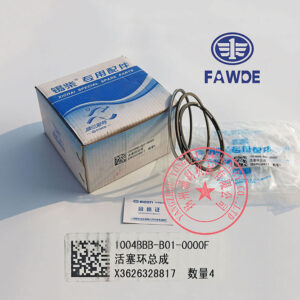 FAW 4DW81-23D piston rings