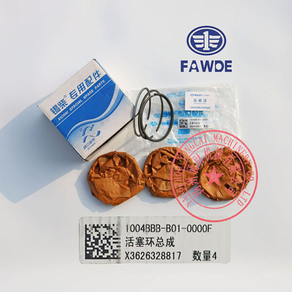 FAW 4DW81-23D piston rings -4
