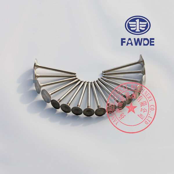 FAW 4DW91-29D intake valves and exhaust valves
