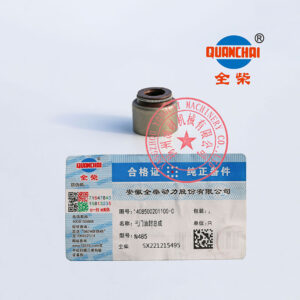 Quanchai N485D valve oil seals