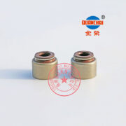 Quanchai QC490Q valve oil seals