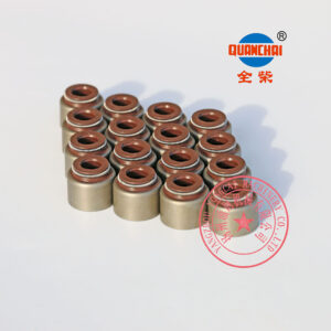 Quanchai QC490Q valve oil seals