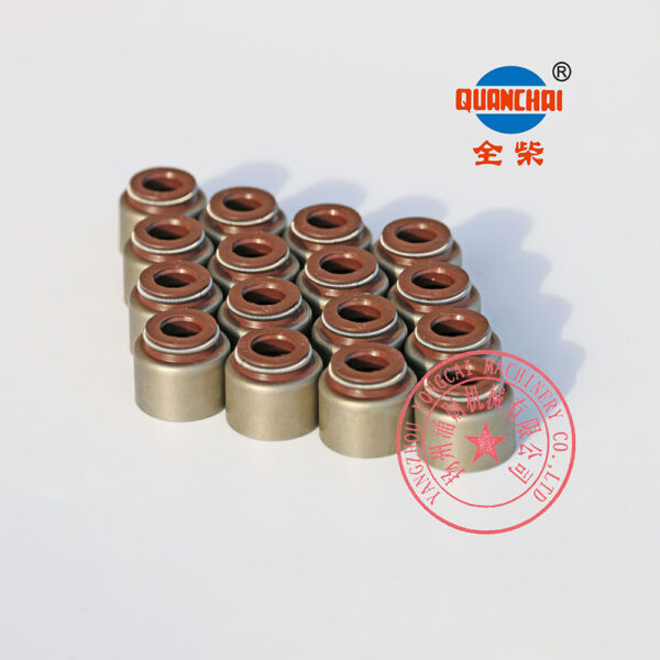 Quanchai QC490Q valve oil seals -2