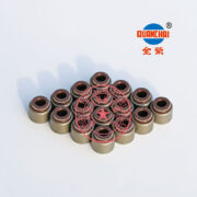 Quanchai QC490Q valve oil seals -3