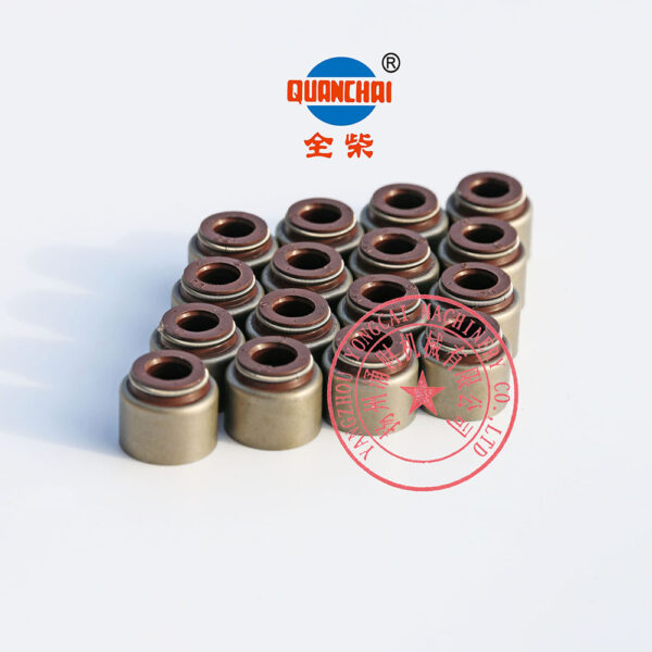 Quanchai QC490Q valve oil seals -4