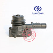 Yangdong YSAD380 water pump