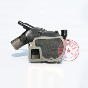 Taidong TDME-490 water pump