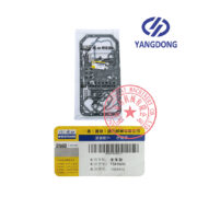 Yangdong YSD490D overhaul gasket kit -2