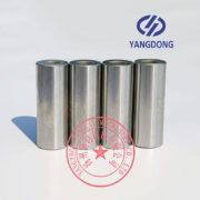 Yangdong YSD490D piston pin -1