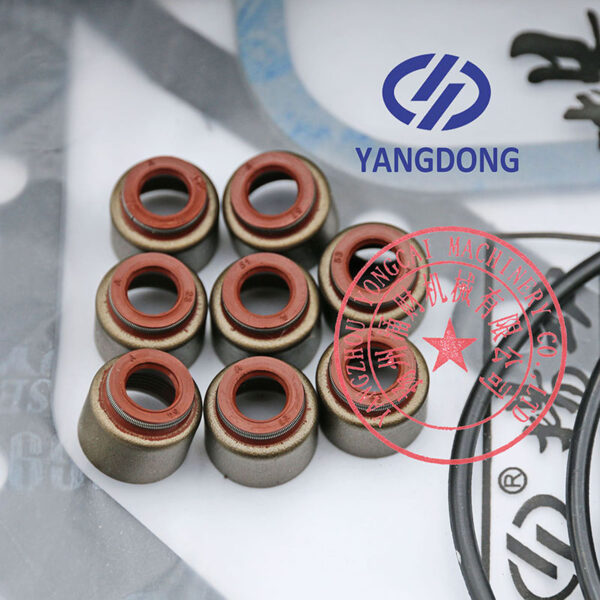 Yangdong YSD490D valve oil seal -3