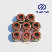 Yangdong YSD490D valve oil seal -4