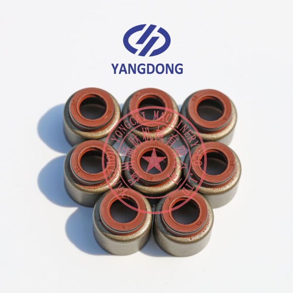 Yangdong YSD490D valve oil seal -5