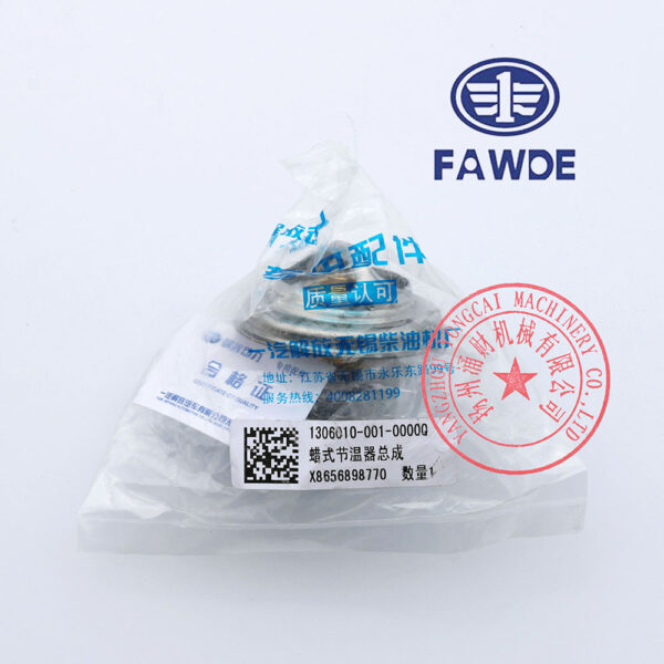 FAW 4DX23-65D thermostat -1