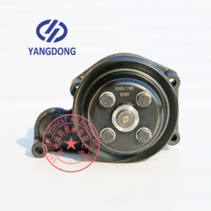 Yangdong YSD490Q water pump