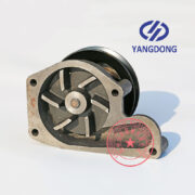 Yangdong YSD490Q water pump -6